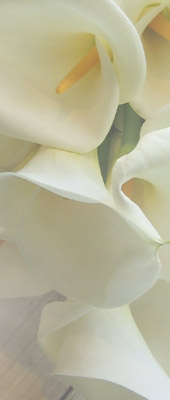 Arum Lilies Brides Bouquet